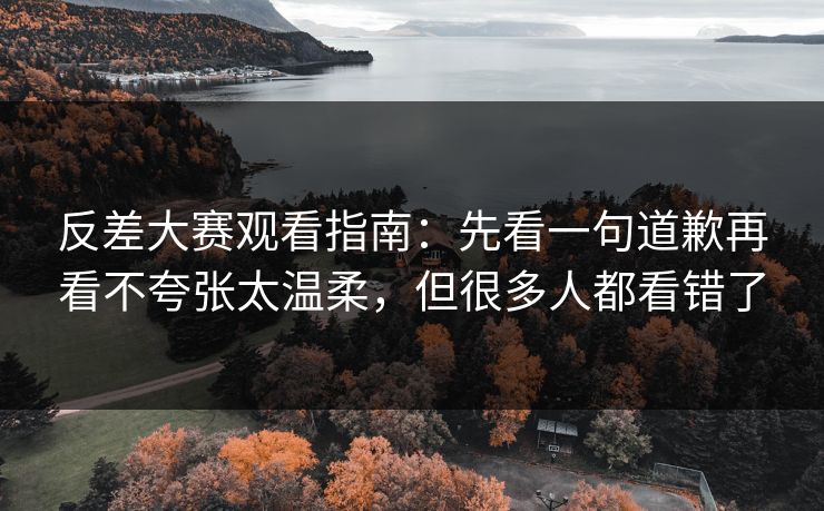 反差大赛观看指南：先看一句道歉再看不夸张太温柔，但很多人都看错了